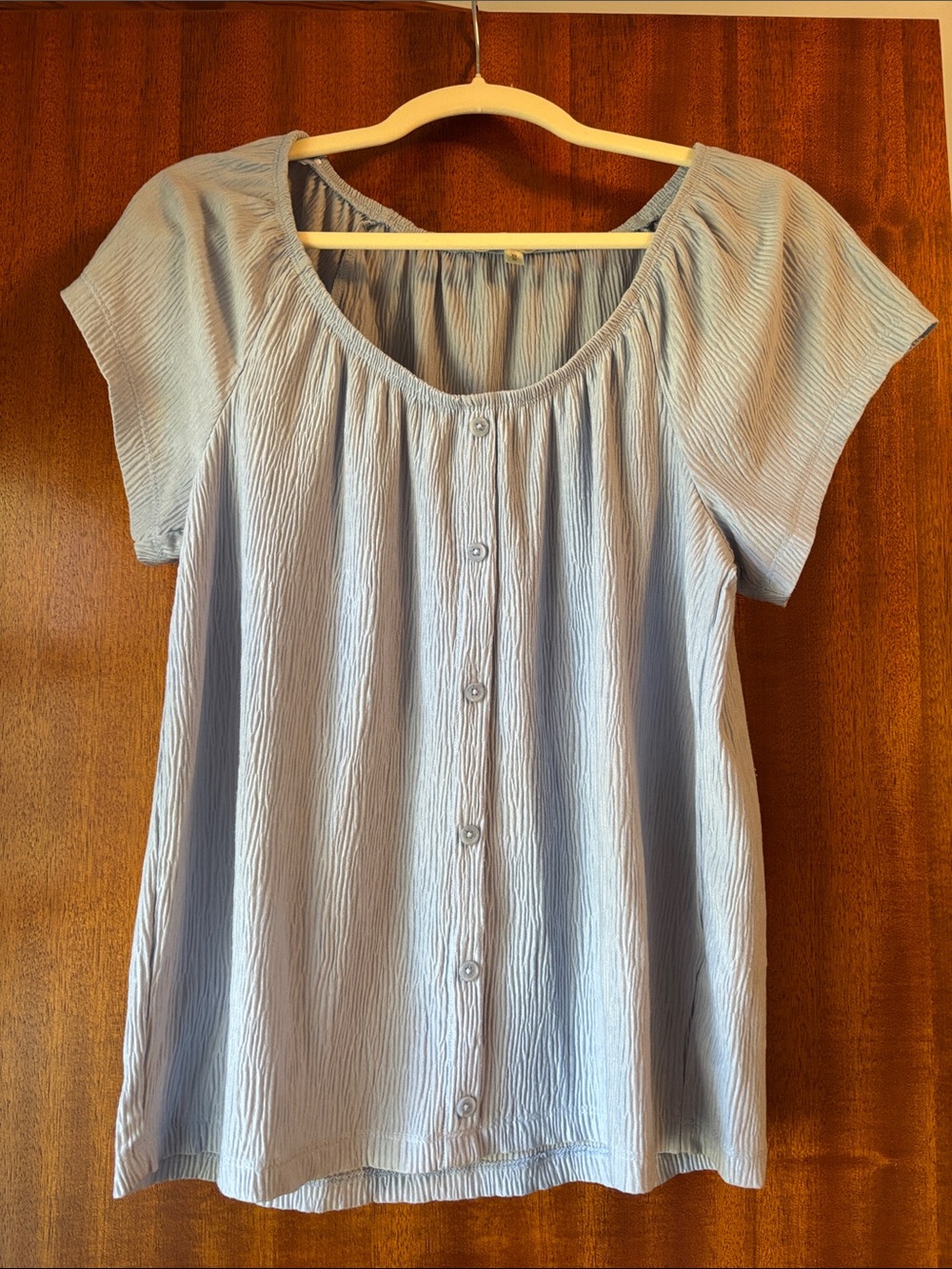 cleo Light Blue Button-Front Short Sleeve Top